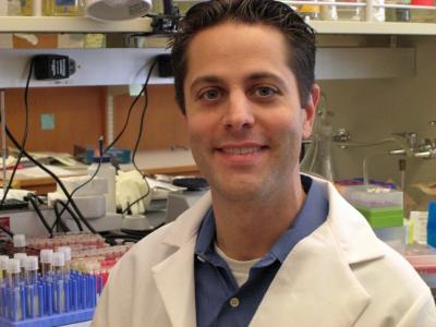 David Brooks, University of California, Los Angeles