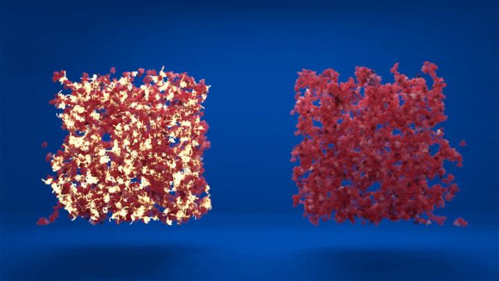 Schematic visualisation of protein networks