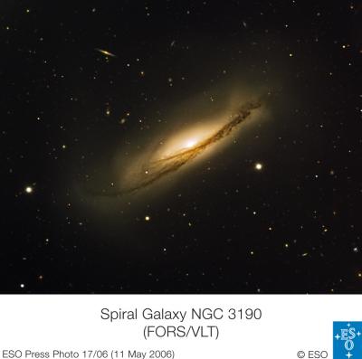 The Spiral Galaxy NGC 3190