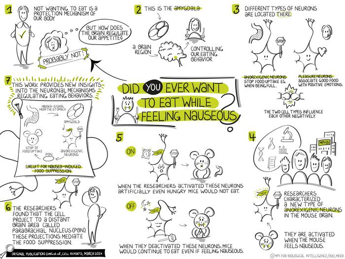 Sketchnote for neurons spoil your appetite