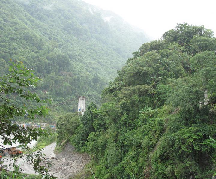 Habitat of the Newly Described <i>Androconia rallusa</i>