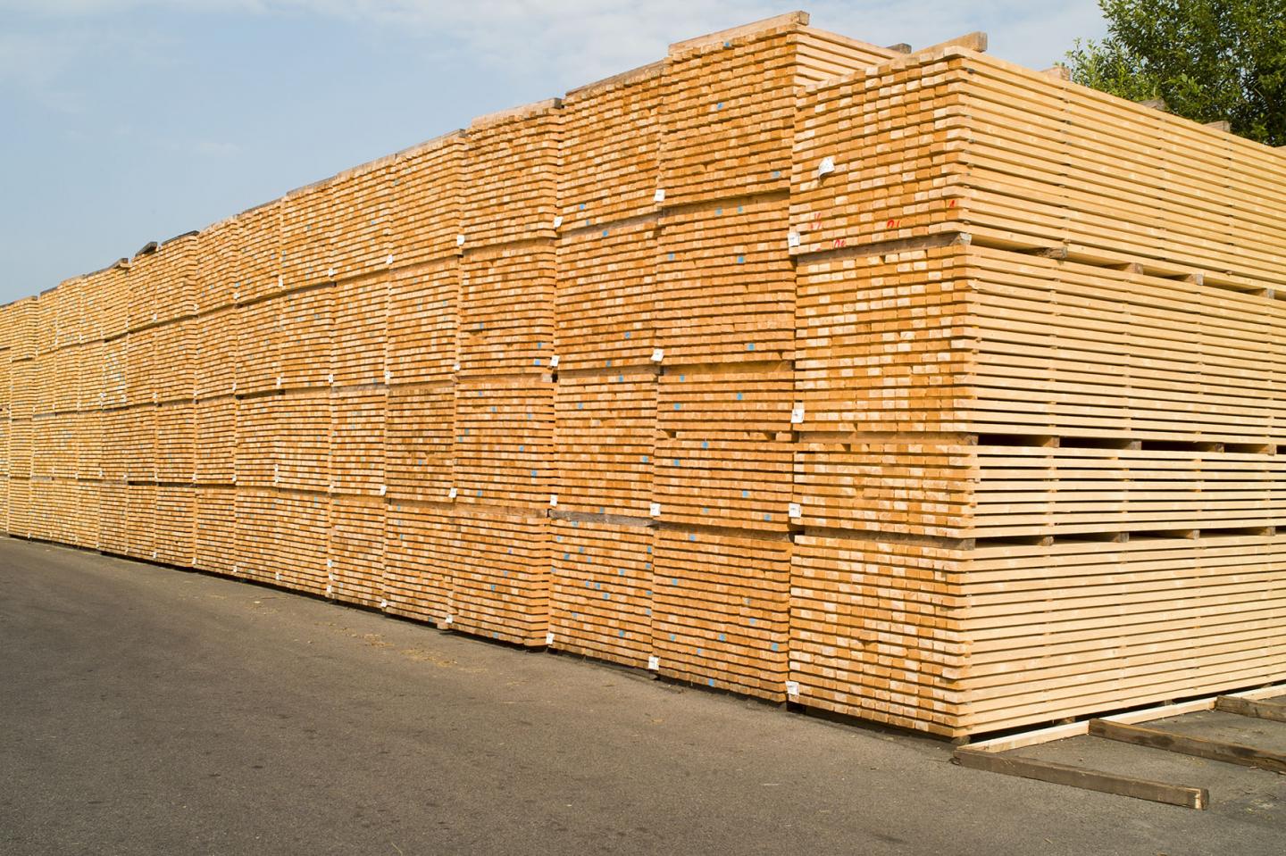 Stacks of Wood