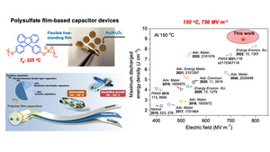 Polysulfate film-based capacitor devices