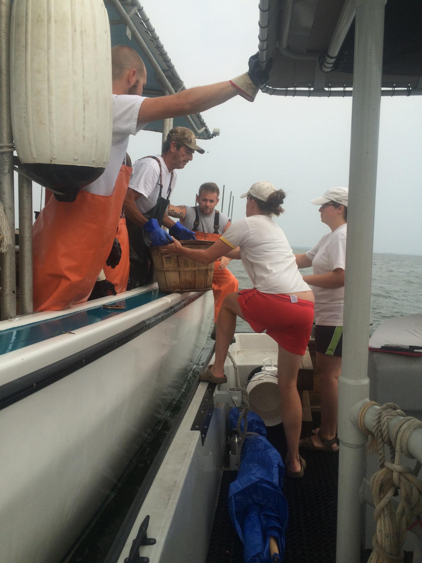 Biologists and Watermen