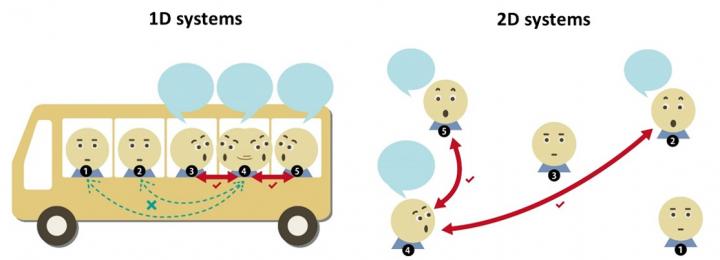 Exciton interactions in 1D and 2D systems