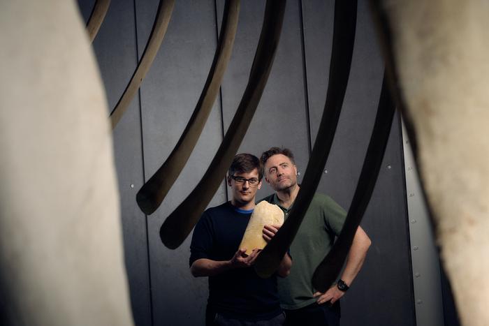 Dr James Rule (L) and Dr Erich Fitzgerald (R) with the Murray River whale fossil at Melbourne Museum.   Photo by Eugene Hyland. Source: Museums Victoria