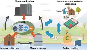 graphical abstract