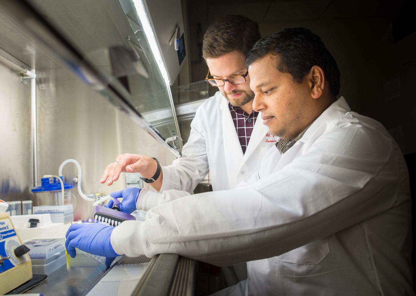 Researchers Create a 'rosetta Stone' to Decode Immune Recognition