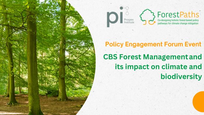 ForestPaths' Policy Engagement Forum (November 2024)