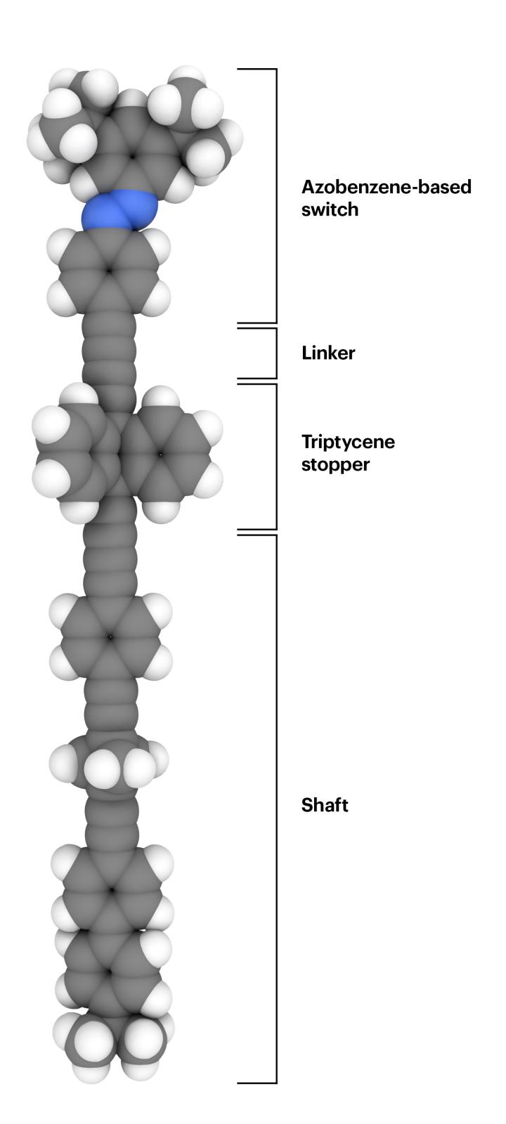 Molecular switch