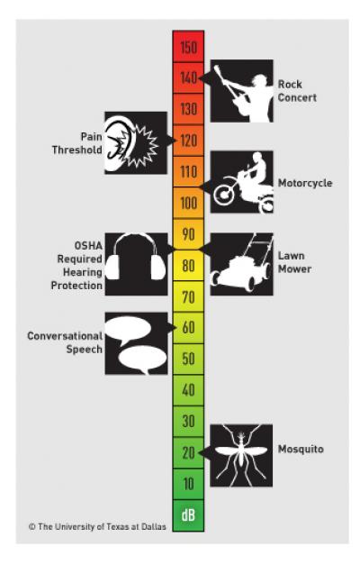 Sound Exposure Scale IMAGE EurekAlert Science News Releases
