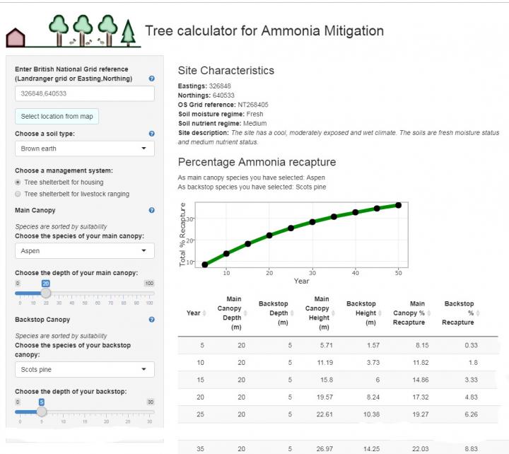 Online Calculator