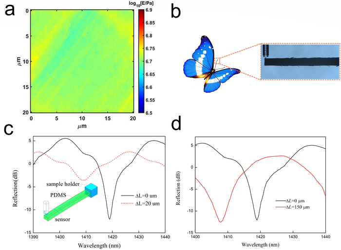 Sensing applications and verification