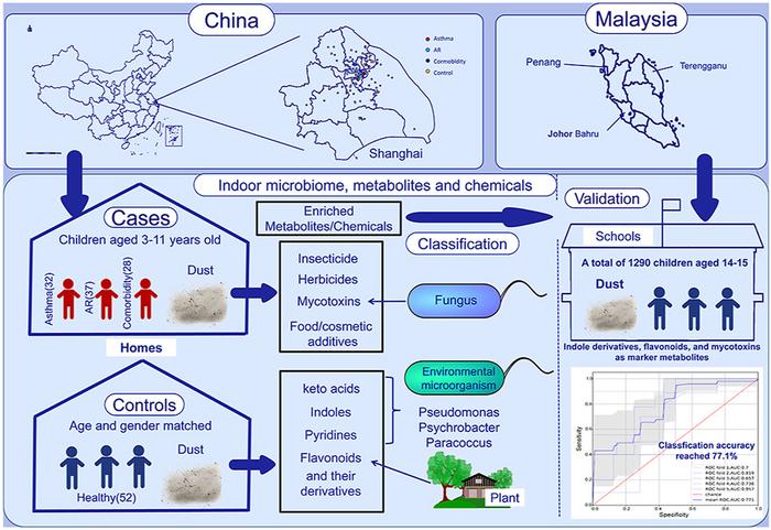 Graphical abstract.