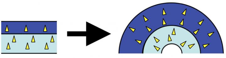Figure 3: Summary of the Present Study