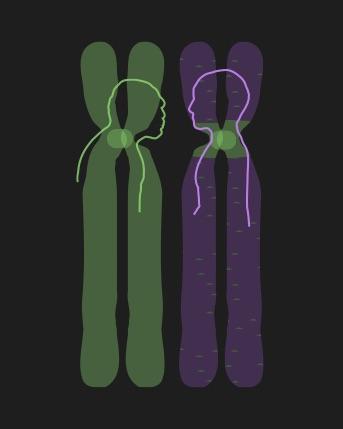 Dark Centers of Chromosomes Reveal Ancient DNA