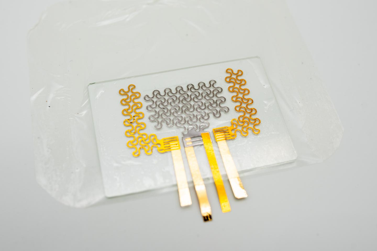 Stretchable E-Tattoo Enables Heart Monitoring for Days