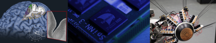 Some of the ressources available on EBRAINS