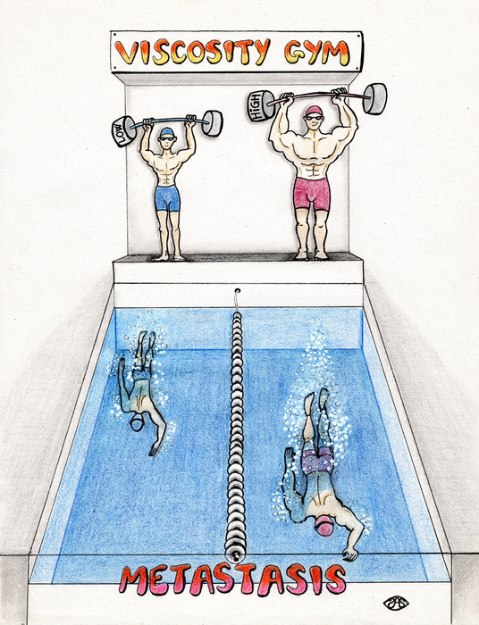 amy and valerie image viscosity