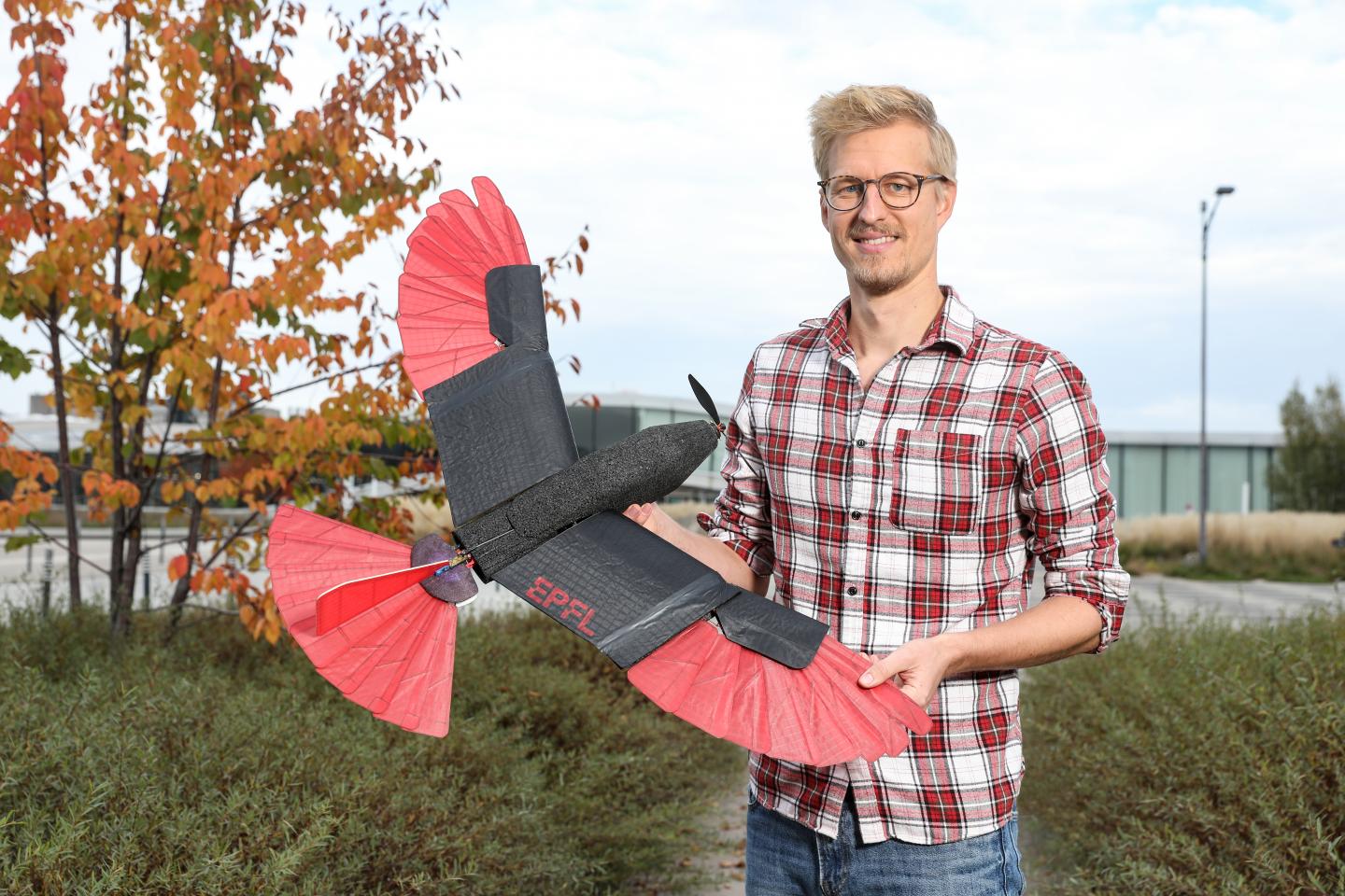 Raptor-inspired drone with morphing wing and tail