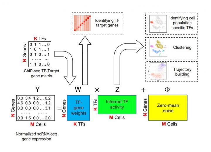 BITFAM Schematic