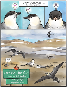 Arctic Birds Connect the World Comic (Page 3 of 3)