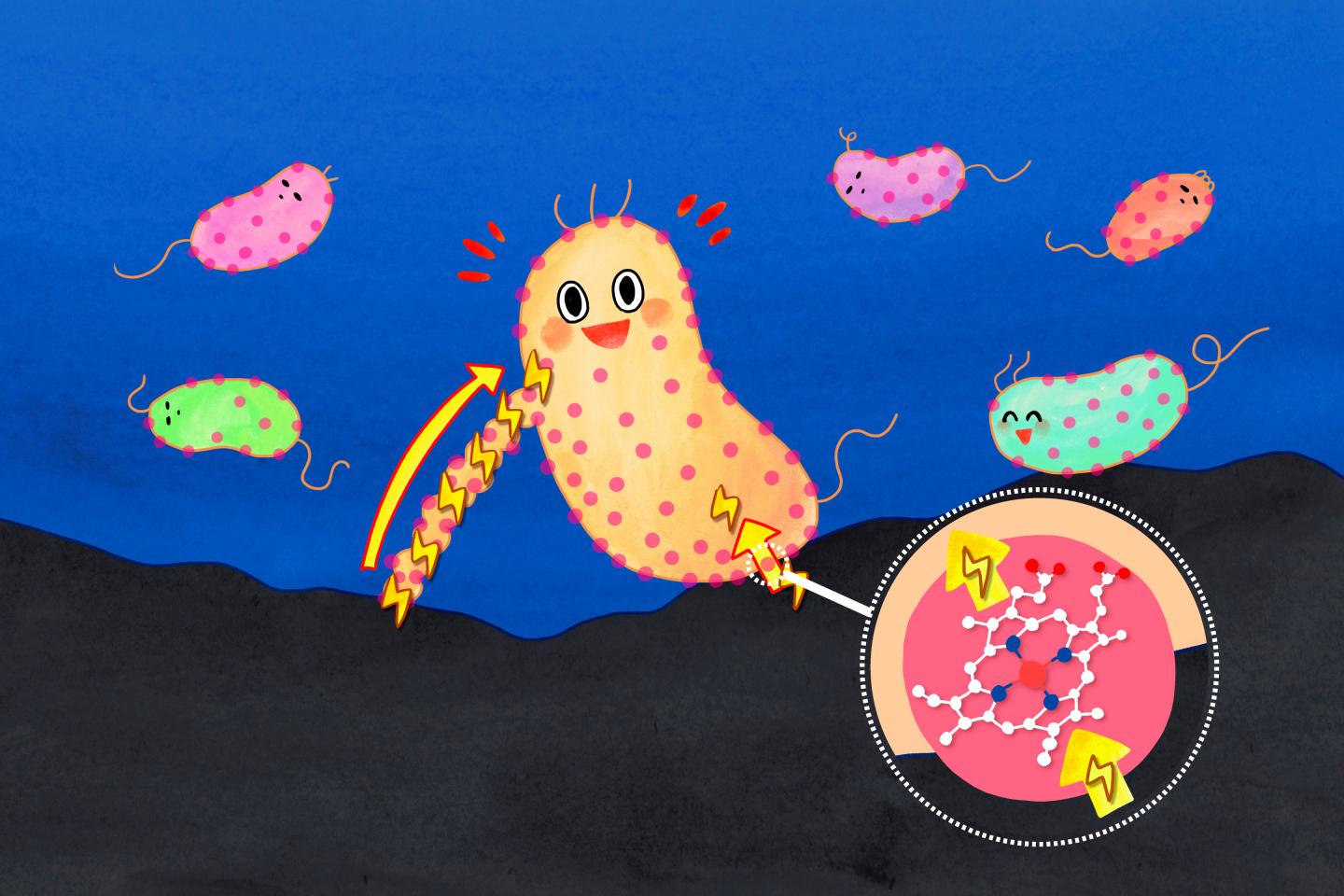 Multi-heme Cytochromes Provide a Pathway For Survival In Energy-limited Environments (2 of 2)