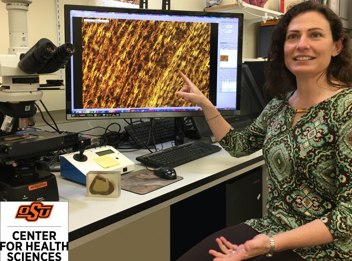 Bone analysis suggests small t rexes were no eurekalert 