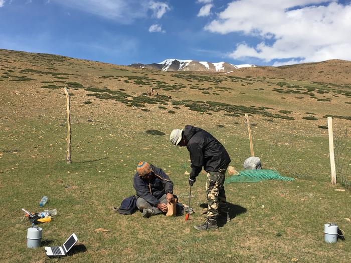 The authors during fieldwork in the Spiti region