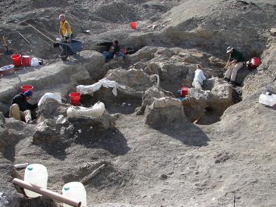 Excavating Dreadnoughtus in Patagonia in 2006