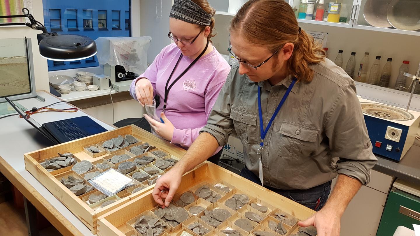 Collecting Samples from the 425 Million Years Old Earth History Archives