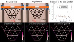 A backpropagation algorithm for mechanical neural networks