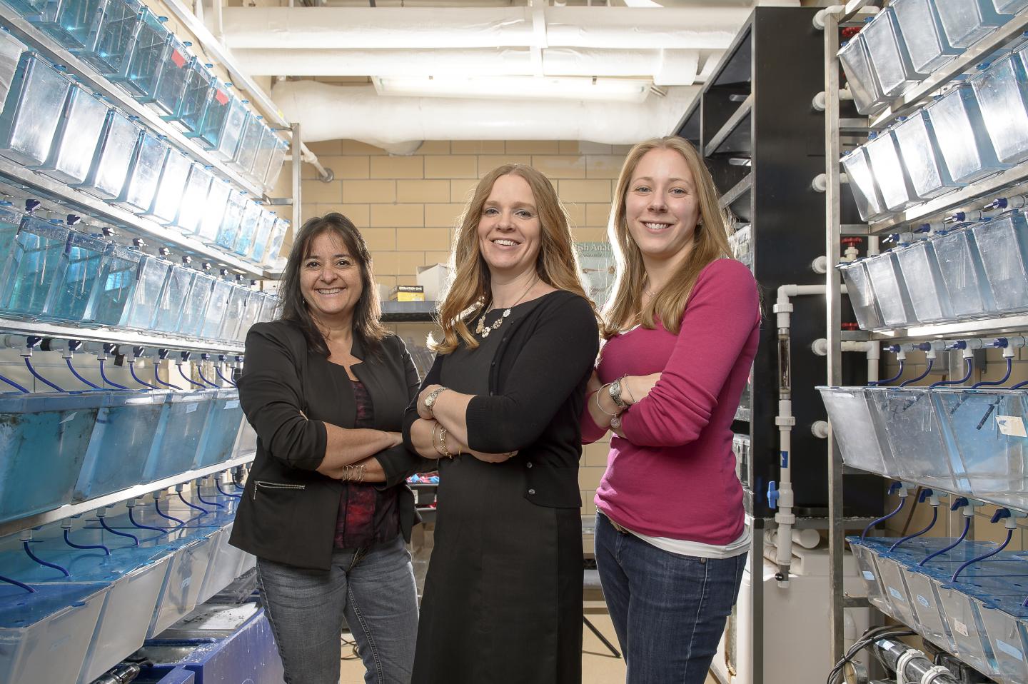 Jennifer Freeman, Maria S. Sepulveda and Sara E. Wirbisky, Purdue University 