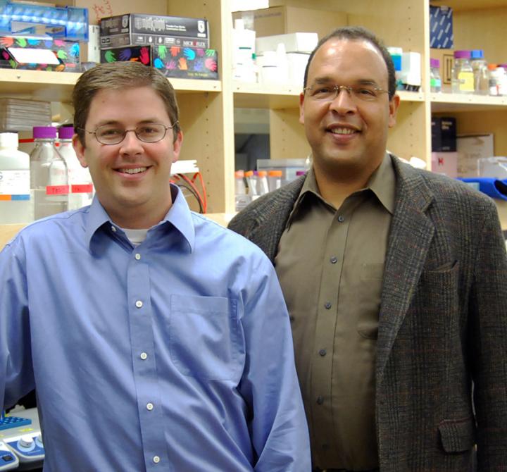 Michael Taffe and Tobin Dickerson, The Scripps Research Institute