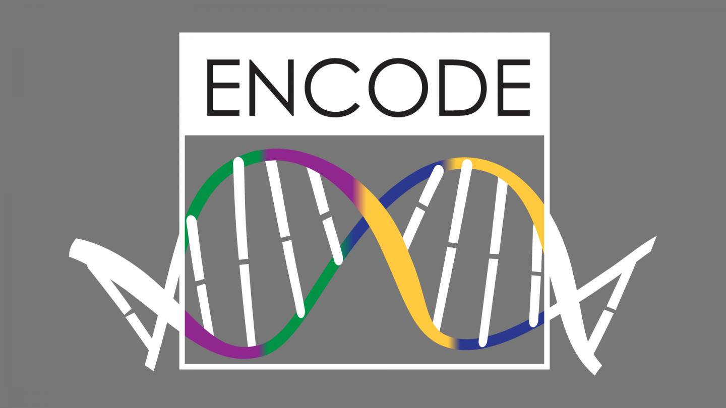 ENCODE Logo