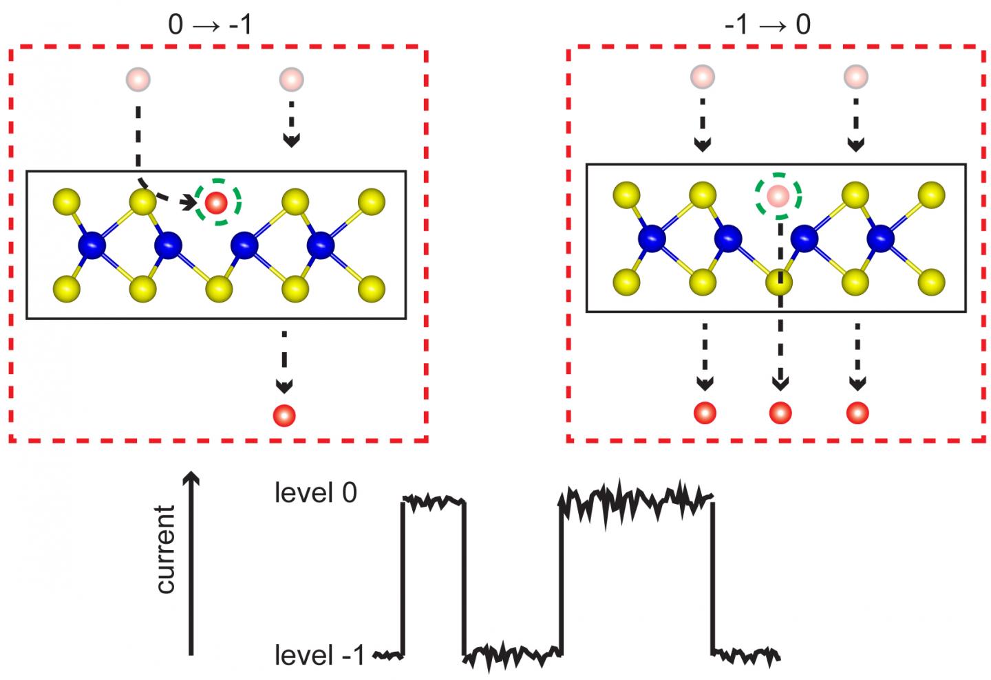 Dynamics of a Sulfur Vacancy