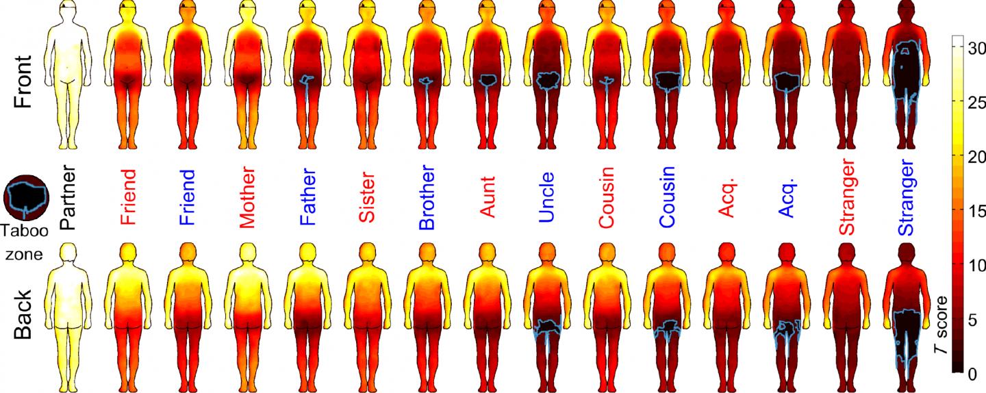 Bodily Maps of Touch