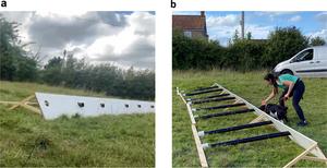An experimental assessment of detection dog ability to locate great crested newts (Triturus cristatus) at distance and through soil
