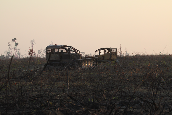 Mechanical clearance of burnt forest