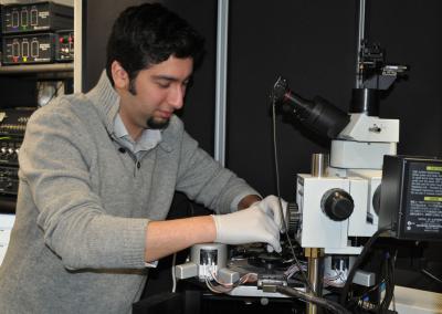 Behrad Gholipour, University of Southampton