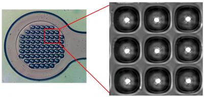 Micro-Patterned Sample Grids for Manipulation of Microcrystals