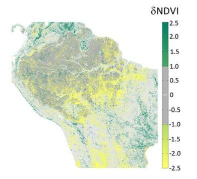 Change in Amazon Greenness from 2000 to 2012