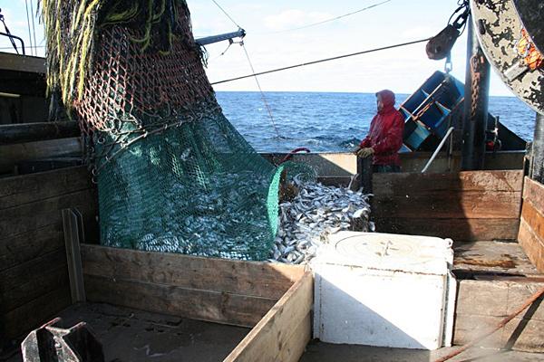 Examining African fisheries