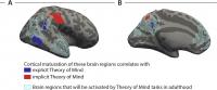 Cortical Maturation of Brain Regions Correlates with Theory of Mind