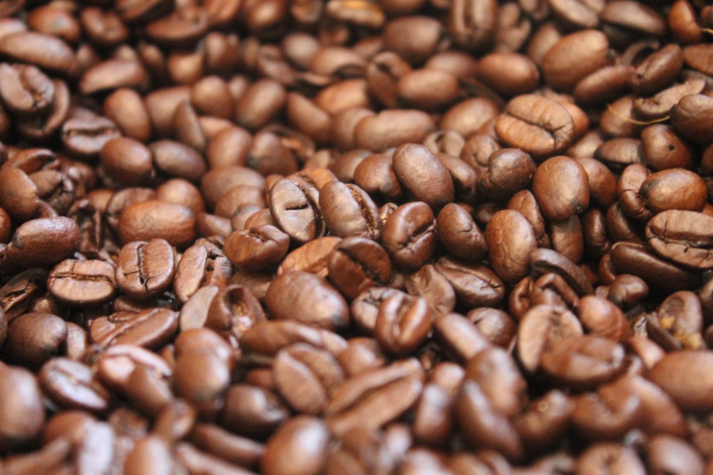 Some Commercial Coffees Contain High Levels of Mycotoxins