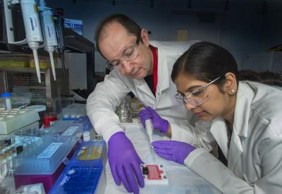 Oleg Gang, Brookhaven National Laboratory, and Sunita Srivastava, Stony Brook University