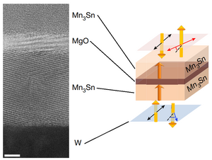 Antiferromagnetic tunneling junction