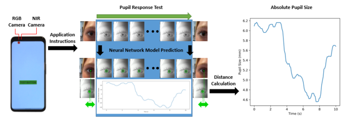 Eye-catching smartphone app for neurological screening - 2