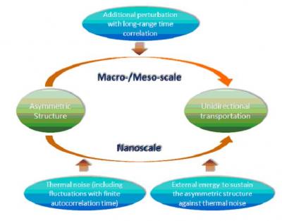 Schematic of How a Ratchet Works at Macro-/Meso-Scale and Nanoscale