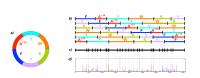 De Novo Sequencing of Nonribosomal Peptides at RECOMB 2008 (2 of 2)
